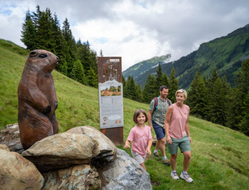 Preis-Leistungs-Tipp: Sommerurlaub in Saalbach Hinterglemm